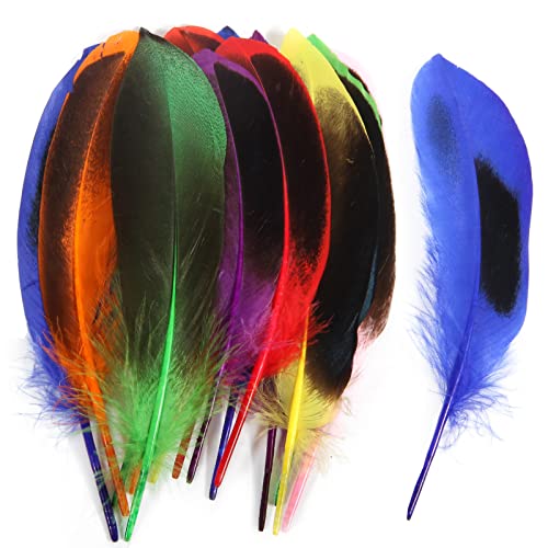 Entenfedern, 10–15 cm, Großpackung für Handarbeit, Kleidung, Hüte, Zuhause, Hochzeit, Party, Dekoration, mehrfarbig, 120 Stück Entenfedern, 10–15 cm, Großpackung für Handarbeit, Kleidung, Hüte, Zuhause, Hochzeit, Party, Dekoration, mehrfarbig, 120 Stück von ADSUBHSJFAKK
