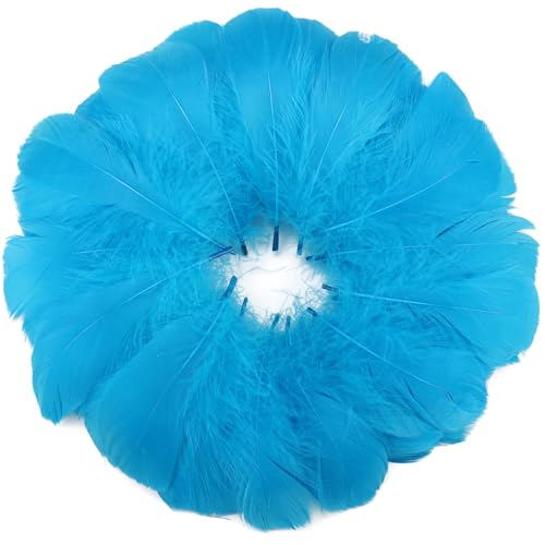 Federn, Aquablau, 7,6–12,7 cm, Bastelfedern, verschiedene Regenbogenfarben, Federn für Kinder, für selbstgemachte Hochzeiten, Zuhause, Partys, Dekorationen, natürliche Federn, 360 Stück Federn, Aquablau, 7,6–12,7 cm, Bastelfedern, verschiedene Regenbogenfarben, Federn für Kinder, für selbstgemachte Hochzeiten, Zuhause, Partys, Dekorationen, natürliche Federn, 360 Stück von ADSUBHSJFAKK
