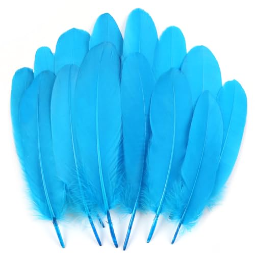 Gänsefedern, 15-20 cm, Aquablau, für Bastelarbeiten, Cosplay, Hochzeit, Party, Halloween, Dekoration, Gänsefedern, 120 Stück Gänsefedern, 15-20 cm, Aquablau, für Bastelarbeiten, Cosplay, Hochzeit, Party, Halloween, Dekoration, Gänsefedern, 120 Stück von ADSUBHSJFAKK