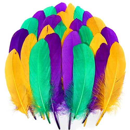 Gänsefedern, natürlich, 15-20 cm, für Bastelarbeiten, Cosplay, Halloween, Karneval, Maskerade, Party-Dekoration, Gänsefedern, 120 Stück Gänsefedern, natürlich, 15-20 cm, für Bastelarbeiten, Cosplay, Halloween, Karneval, Maskerade, Party-Dekoration, Gänsefedern, 120 Stück von ADSUBHSJFAKK