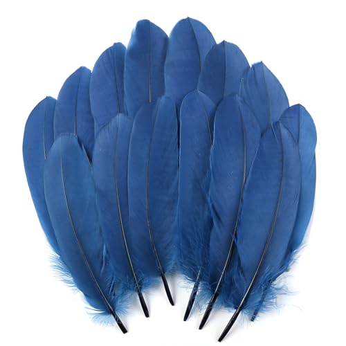 Gänsefedern, natürlich, 15-20 cm, für Bastelarbeiten, Cosplay, Hochzeit, Party, Halloween, Dekoration, Gänsefedern, 120 Stück Gänsefedern, natürlich, 15-20 cm, für Bastelarbeiten, Cosplay, Hochzeit, Party, Halloween, Dekoration, Gänsefedern, 120 Stück von ADSUBHSJFAKK