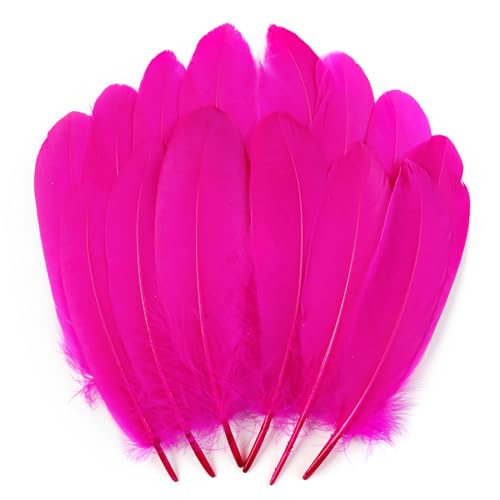 Gänsefedern in Hot Pink, 15-20 cm, für Bastelarbeiten, Cosplay, Hochzeit, Party, Halloween, Dekoration, Gänsefedern, 120 Stück Gänsefedern in Hot Pink, 15-20 cm, für Bastelarbeiten, Cosplay, Hochzeit, Party, Halloween, Dekoration, Gänsefedern, 120 Stück von ADSUBHSJFAKK