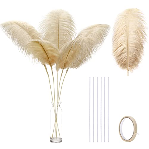 Große Champagner-Straußenfedern – 12 Stück, 61–66 cm, Boho-Federn für Vase, Hochzeit, Party, Tafelaufsätze und Heimdekoration Große Champagner-Straußenfedern – 12 Stück, 61–66 cm, Boho-Federn für Vase, Hochzeit, Party, Tafelaufsätze und Heimdekoration von ADSUBHSJFAKK