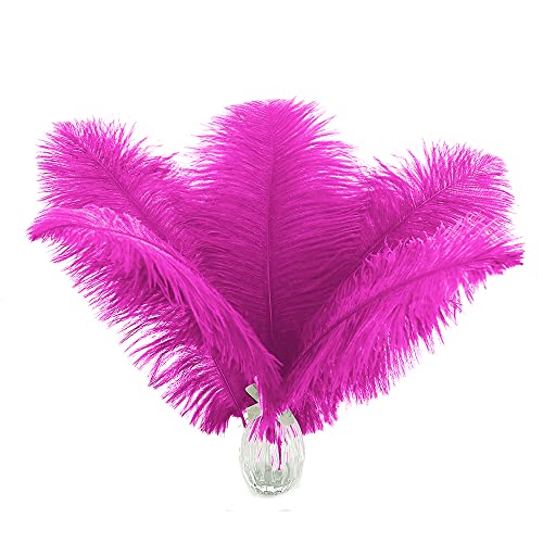 Große Straußenfedern, Fuchsia, 20,3–25,4 cm, Hot Pink, für Partydekoration, Blumenarrangement und Heimdekoration, 24 Stück Große Straußenfedern, Fuchsia, 20,3–25,4 cm, Hot Pink, für Partydekoration, Blumenarrangement und Heimdekoration, 24 Stück von ADSUBHSJFAKK