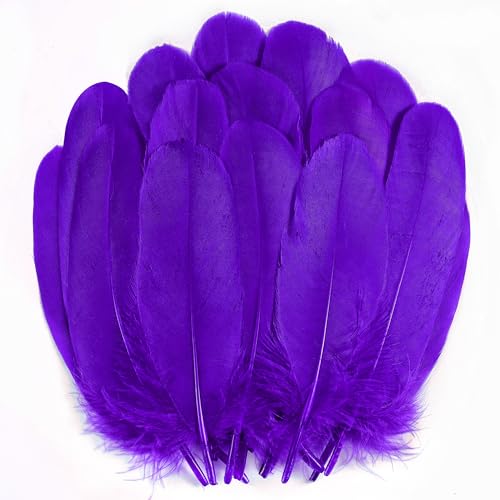 Große lilafarbene Gänsefedern – 200 Stück, 12,7–15,2 cm, Gänsefedern, Großpackung für Halloween, Karneval, Maskerade, Party, Kostüm, Dekoration und Bastelarbeiten (lila) von ADSUBHSJFAKK