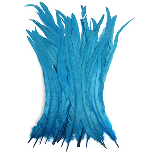 Hahn-Schwanzfedern, Großpackung, natürlich, 30–35 cm, zum Basteln, Hochzeit, Fliegenbinden, Federn, Party, Aufführungen, DIY-Dekoration, Hahnschwanzfedern, Aquablau, 50 Stück Hahn-Schwanzfedern, Großpackung, natürlich, 30–35 cm, zum Basteln, Hochzeit, Fliegenbinden, Federn, Party, Aufführungen, DIY-Dekoration, Hahnschwanzfedern, Aquablau, 50 Stück von ADSUBHSJFAKK