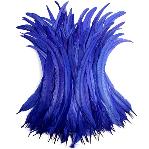 Hahn-Schwanzfedern, Großpackung, natürlich, 30–35 cm, zum Basteln, Hochzeit, Fliegenbinden, Federn, Party, Aufführungen, DIY-Dekoration, Hahnschwanzfedern, Blau, 50 Stück Hahn-Schwanzfedern, Großpackung, natürlich, 30–35 cm, zum Basteln, Hochzeit, Fliegenbinden, Federn, Party, Aufführungen, DIY-Dekoration, Hahnschwanzfedern, Blau, 50 Stück von ADSUBHSJFAKK