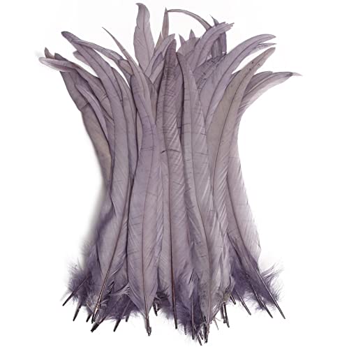 Hahn-Schwanzfedern, Großpackung, natürlich, 30–35 cm, zum Basteln, Hochzeit, Fliegenbinden, Federn, Party, Aufführungen, DIY-Dekoration, Hahnschwanzfedern, Grau, 50 Stück Hahn-Schwanzfedern, Großpackung, natürlich, 30–35 cm, zum Basteln, Hochzeit, Fliegenbinden, Federn, Party, Aufführungen, DIY-Dekoration, Hahnschwanzfedern, Grau, 50 Stück von ADSUBHSJFAKK