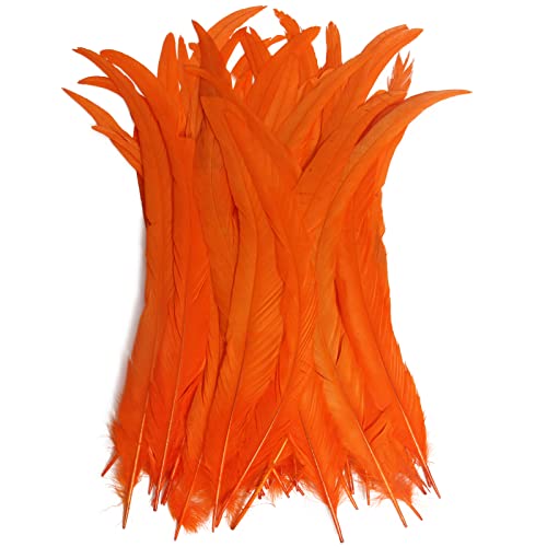 Hahn-Schwanzfedern, Großpackung, natürlich, 30–35 cm, zum Basteln, Hochzeit, Fliegenbinden, Federn, Party, Aufführungen, DIY-Dekoration, Hahnschwanzfedern, Orange, 50 Stück Hahn-Schwanzfedern, Großpackung, natürlich, 30–35 cm, zum Basteln, Hochzeit, Fliegenbinden, Federn, Party, Aufführungen, DIY-Dekoration, Hahnschwanzfedern, Orange, 50 Stück von ADSUBHSJFAKK