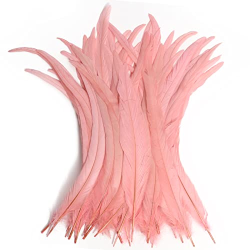 Hahn-Schwanzfedern, Großpackung, natürlich, 30–35 cm, zum Basteln, Hochzeit, Fliegenbinden, Federn, Party, Aufführungen, DIY-Dekoration, Hahnschwanzfedern, Rosa, 50 Stück Hahn-Schwanzfedern, Großpackung, natürlich, 30–35 cm, zum Basteln, Hochzeit, Fliegenbinden, Federn, Party, Aufführungen, DIY-Dekoration, Hahnschwanzfedern, Rosa, 50 Stück von ADSUBHSJFAKK