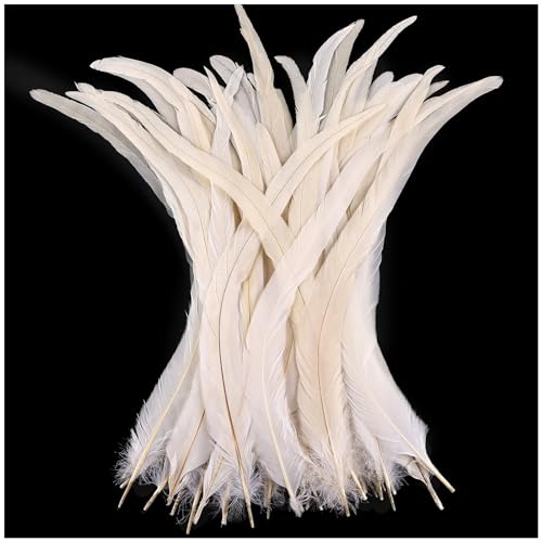 Hahn-Schwanzfedern, Großpackung, natürlich, 30–35 cm, zum Basteln, Hochzeit, Fliegenbinden, Federn, Party, Aufführungen, DIY-Dekoration, Hahnschwanzfedern, Weiß, 50 Stück Hahn-Schwanzfedern, Großpackung, natürlich, 30–35 cm, zum Basteln, Hochzeit, Fliegenbinden, Federn, Party, Aufführungen, DIY-Dekoration, Hahnschwanzfedern, Weiß, 50 Stück von ADSUBHSJFAKK