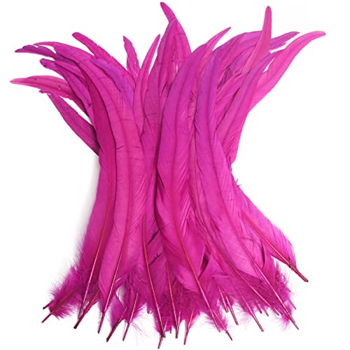 Hahn-Schwanzfedern, Großpackung, natürlich, 30–35 cm, zum Basteln, Hochzeit, Fliegenbinden, Federn, Party-Aufführungen, DIY-Dekoration, Hahnschwanzfedern, Hot Pink, 50 Stück Hahn-Schwanzfedern, Großpackung, natürlich, 30–35 cm, zum Basteln, Hochzeit, Fliegenbinden, Federn, Party-Aufführungen, DIY-Dekoration, Hahnschwanzfedern, Hot Pink, 50 Stück von ADSUBHSJFAKK