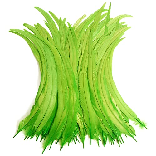 Hahn-Schwanzfedern, Großpackung, natürlich, 30–35 cm, zum Basteln, Hochzeit, Fliegenbinden, Federn, Party-Aufführungen, DIY-Dekoration, Hahnschwanzfedern, Limettengrün, 50 Stück Hahn-Schwanzfedern, Großpackung, natürlich, 30–35 cm, zum Basteln, Hochzeit, Fliegenbinden, Federn, Party-Aufführungen, DIY-Dekoration, Hahnschwanzfedern, Limettengrün, 50 Stück von ADSUBHSJFAKK