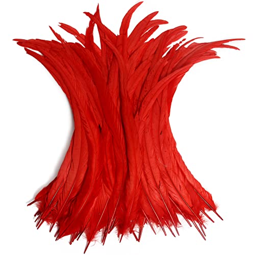 Hahn-Schwanzfedern, Großpackung, natürlich, 35–40 cm, zum Basteln, Hochzeit, Fliegenbinden, Federn, Party, Aufführungen, DIY-Dekoration, Hahnschwanz, Feder, Rot, 50 Stück Hahn-Schwanzfedern, Großpackung, natürlich, 35–40 cm, zum Basteln, Hochzeit, Fliegenbinden, Federn, Party, Aufführungen, DIY-Dekoration, Hahnschwanz, Feder, Rot, 50 Stück von ADSUBHSJFAKK