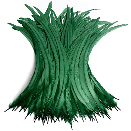Hahn-Schwanzfedern, Großpackung, natürlich, 35–40 cm, zum Basteln, Hochzeit, Fliegenbinden, Federn, Party, Aufführungen, DIY-Dekoration, Hahnschwanz-Feder, Dunkelgrün, 50 Stück Hahn-Schwanzfedern, Großpackung, natürlich, 35–40 cm, zum Basteln, Hochzeit, Fliegenbinden, Federn, Party, Aufführungen, DIY-Dekoration, Hahnschwanz-Feder, Dunkelgrün, 50 Stück von ADSUBHSJFAKK