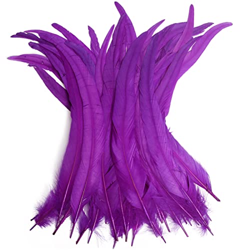 Hahn-Schwanzfedern, Großpackung, natürlich, 35–40 cm, zum Basteln, Hochzeit, Fliegenbinden, Federn, Party, Aufführungen, DIY-Dekoration, Hahnschwanz-Feder, Lila, 50 Stück Hahn-Schwanzfedern, Großpackung, natürlich, 35–40 cm, zum Basteln, Hochzeit, Fliegenbinden, Federn, Party, Aufführungen, DIY-Dekoration, Hahnschwanz-Feder, Lila, 50 Stück von ADSUBHSJFAKK