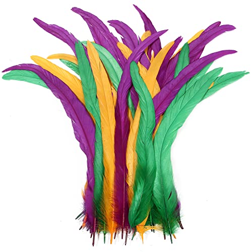 Hahn-Schwanzfedern, Großpackung, natürlich, 35–40 cm, zum Basteln, für Hochzeit, Gras, Maskerade, Party, Aufführungen, DIY-Dekoration, Hahnschwanzfedern, 50 Stück Hahn-Schwanzfedern, Großpackung, natürlich, 35–40 cm, zum Basteln, für Hochzeit, Gras, Maskerade, Party, Aufführungen, DIY-Dekoration, Hahnschwanzfedern, 50 Stück von ADSUBHSJFAKK