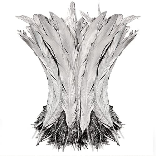 Hahn-Schwanzfedern, Großpackung, natürlich, 35–40 cm, zum Basteln, für Hochzeit, Gras, Maskerade, Party, Aufführungen, DIY-Dekoration, Hahnschwanzfedern, Silber, 50 Stück Hahn-Schwanzfedern, Großpackung, natürlich, 35–40 cm, zum Basteln, für Hochzeit, Gras, Maskerade, Party, Aufführungen, DIY-Dekoration, Hahnschwanzfedern, Silber, 50 Stück von ADSUBHSJFAKK
