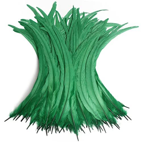 Hahn-Schwanzfedern, Großpackung, natürlich, 40–45 cm, zum Basteln, Hochzeit, Fliegenbinden, Federn, Party-Aufführungen, DIY-Dekoration, Hahnschwanzfeder, Smaragdgrün, 20 Stück Hahn-Schwanzfedern, Großpackung, natürlich, 40–45 cm, zum Basteln, Hochzeit, Fliegenbinden, Federn, Party-Aufführungen, DIY-Dekoration, Hahnschwanzfeder, Smaragdgrün, 20 Stück von ADSUBHSJFAKK