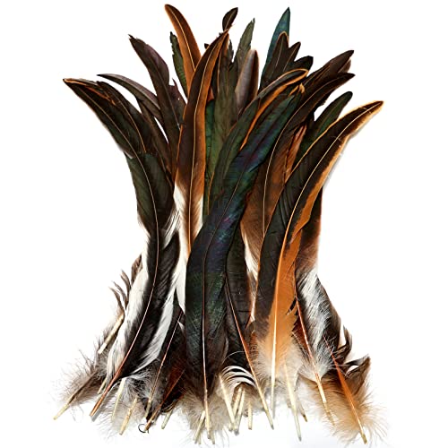 Hahn-Schwanzfedern, Großpackung, natürlich, 40–45 cm, zum Basteln, für Hochzeit, Gras, Maskerade, Party, Aufführungen, DIY-Dekoration, Hahnschwanzfedern, natürlich, 20 Stück Hahn-Schwanzfedern, Großpackung, natürlich, 40–45 cm, zum Basteln, für Hochzeit, Gras, Maskerade, Party, Aufführungen, DIY-Dekoration, Hahnschwanzfedern, natürlich, 20 Stück von ADSUBHSJFAKK