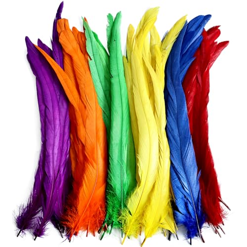 Hahn-Schwanzfedern, Großpackung, verschiedene Farben, 30–35 cm, zum Basteln, für Hochzeit, Gras, Maskerade, Party, Aufführungen, DIY-Dekoration, Hahnschwanzfedern, gemischte Farben, 50 Stück Hahn-Schwanzfedern, Großpackung, verschiedene Farben, 30–35 cm, zum Basteln, für Hochzeit, Gras, Maskerade, Party, Aufführungen, DIY-Dekoration, Hahnschwanzfedern, gemischte Farben, 50 Stück von ADSUBHSJFAKK