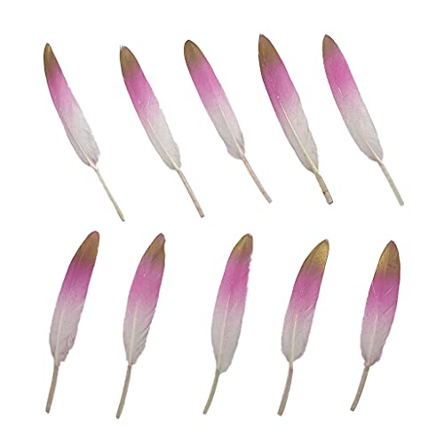 Natürliche Gänsefedern, 10,2–15,2 cm, für Bastelarbeiten, Hochzeit, Zuhause, Party, Dekoration, Goldfeder und Geschenkbox-Dekorationen (Weiß & Fuchsia & Gold) von ADSUBHSJFAKK