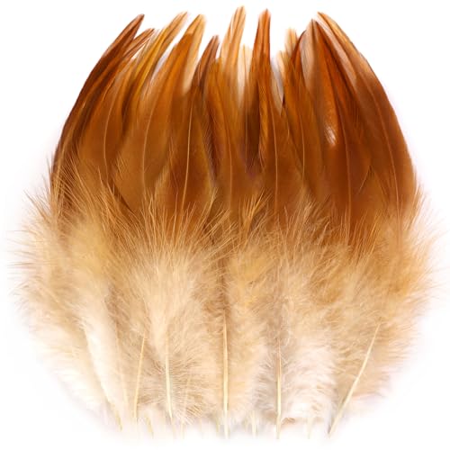 Natürliche Hahnenfedern, 12,7–17,8 cm, für Hüte, Schmuckzubehör und Traumfänger-Zubehör, 200 Stück Natürliche Hahnenfedern, 12,7–17,8 cm, für Hüte, Schmuckzubehör und Traumfänger-Zubehör, 200 Stück von ADSUBHSJFAKK