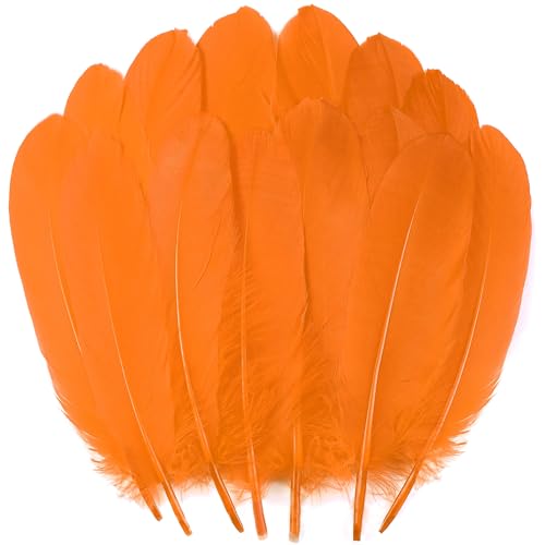 Orange Bastelfedern, Großpackung – 15,2–20,3 cm große Federn für DIY-Halloween-Dekorationen, Schmuck, Cosplay und Kleidungszubehör, 120 Stück Orange Bastelfedern, Großpackung – 15,2–20,3 cm große Federn für DIY-Halloween-Dekorationen, Schmuck, Cosplay und Kleidungszubehör, 120 Stück von ADSUBHSJFAKK