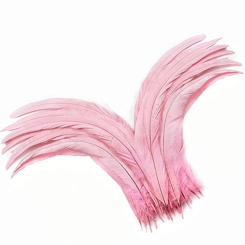 Rosa Hahnschwanzfedern – 60 Stück, 30,5–35,6 cm, natürliche lange Hahnschwanzfedern, Großpackung für Heimwerker, Handwerk, Hüte, Kostüm, Urlaub, Motto-Party-Dekoration (Rosa) von ADSUBHSJFAKK