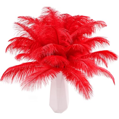 Rote Straußenfedern, 24 Stück, natürlich, 25 cm - 30 cm, für Bastelarbeiten, Hochzeit, Party, Tafelaufsätze, Halloween und Heimdekoration, Federn Rote Straußenfedern, 24 Stück, natürlich, 25 cm - 30 cm, für Bastelarbeiten, Hochzeit, Party, Tafelaufsätze, Halloween und Heimdekoration, Federn von ADSUBHSJFAKK