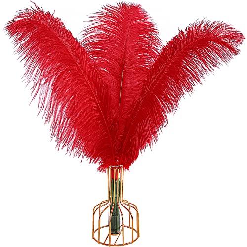Rote Straußenfedern, groß, natürlich, 40 cm - 45 cm, für Hochzeiten, Partys, Halloween und Heimdekoration, 12 Stück Rote Straußenfedern, groß, natürlich, 40 cm - 45 cm, für Hochzeiten, Partys, Halloween und Heimdekoration, 12 Stück von ADSUBHSJFAKK