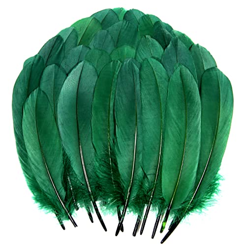 Schwärzlich-grüne Gänsefedern, natürlich, 15-20 cm, für Bastelarbeiten, Cosplay, Hochzeit, Party, Halloween, Dekoration, Gänsefedern, 120 Stück Schwärzlich-grüne Gänsefedern, natürlich, 15-20 cm, für Bastelarbeiten, Cosplay, Hochzeit, Party, Halloween, Dekoration, Gänsefedern, 120 Stück von ADSUBHSJFAKK