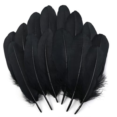 Schwarze Gänsefedern, natürlich, 15-20 cm, für Bastelarbeiten, Cosplay, Hochzeit, Party, Halloween, Dekoration, Gänsefedern, 120 Stück Schwarze Gänsefedern, natürlich, 15-20 cm, für Bastelarbeiten, Cosplay, Hochzeit, Party, Halloween, Dekoration, Gänsefedern, 120 Stück von ADSUBHSJFAKK