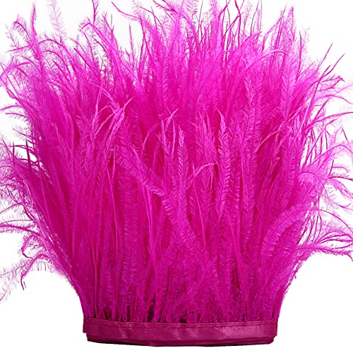 Straußenfeder-Bordüre, Nähen, Fransen, 10,2–15,2 cm, für selbstgemachte Kleider, Nähen, Basteln, Kleidung, lateinamerikanische Hochzeitskleider, Dekoration, Straußenfeder-Bordüre, Hot Pink Straußenfeder-Bordüre, Nähen, Fransen, 10,2–15,2 cm, für selbstgemachte Kleider, Nähen, Basteln, Kleidung, lateinamerikanische Hochzeitskleider, Dekoration, Straußenfeder-Bordüre, Hot Pink von ADSUBHSJFAKK