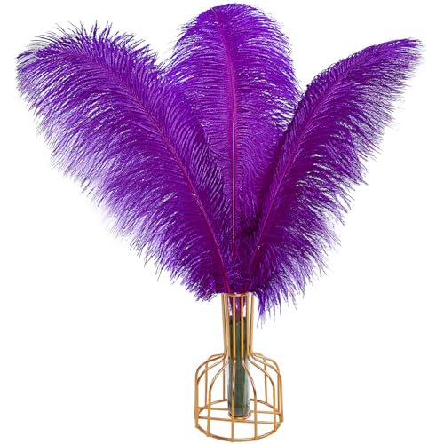 Straußenfedern, 12 Stück, groß, natürlich, 30 cm - 35 cm, für Hochzeit, Party, Tafelaufsatz, Halloween und Dekoration, Feder Straußenfedern, 12 Stück, groß, natürlich, 30 cm - 35 cm, für Hochzeit, Party, Tafelaufsatz, Halloween und Dekoration, Feder von ADSUBHSJFAKK