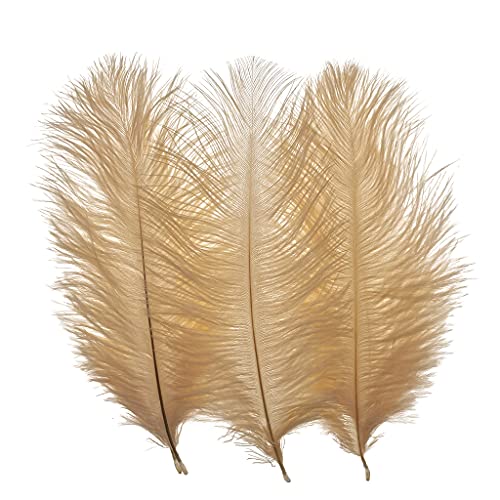 Straußenfedern, 20,3–25,4 cm, für Hochzeit, Party, Tafelaufsätze, Heimdekoration, Champagner, 50 Stück Straußenfedern, 20,3–25,4 cm, für Hochzeit, Party, Tafelaufsätze, Heimdekoration, Champagner, 50 Stück von ADSUBHSJFAKK