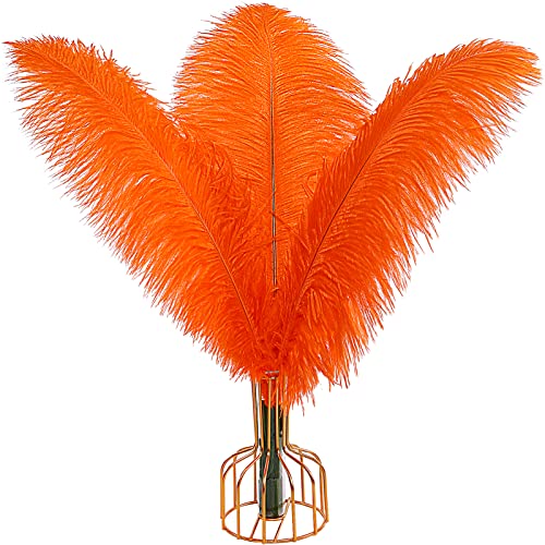 Straußenfedern, natürlich, 40 cm - 45 cm, für Hochzeit, Party, Tafelaufsatz, Ostern, Gatsby und Heimdekoration, Straußenfedern, 12 Stück Straußenfedern, natürlich, 40 cm - 45 cm, für Hochzeit, Party, Tafelaufsatz, Ostern, Gatsby und Heimdekoration, Straußenfedern, 12 Stück von ADSUBHSJFAKK