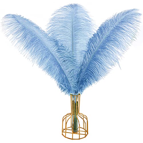 Straußenfedern, natürlich, 40 cm - 45 cm, für Hochzeit, Party, Tafelaufsatz, Ostern, Gatsby und Heimdekoration, Straußenfedern, 12 Stück Straußenfedern, natürlich, 40 cm - 45 cm, für Hochzeit, Party, Tafelaufsatz, Ostern, Gatsby und Heimdekoration, Straußenfedern, 12 Stück von ADSUBHSJFAKK