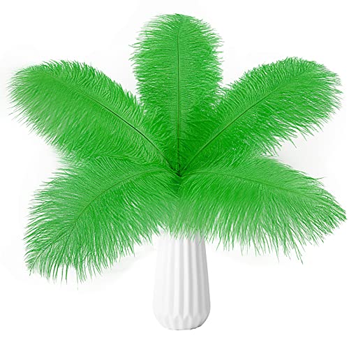 Straußenfedern, natürlich, 40 cm - 45 cm, für Hochzeit, Party, Tafelaufsatz, Ostern, Gatsby und Heimdekoration, Straußenfedern, 12 Stück Straußenfedern, natürlich, 40 cm - 45 cm, für Hochzeit, Party, Tafelaufsatz, Ostern, Gatsby und Heimdekoration, Straußenfedern, 12 Stück von ADSUBHSJFAKK