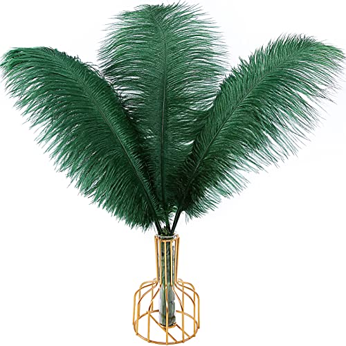 Straußenfedern, natürlich, 40 cm - 45 cm, für Hochzeit, Party, Tafelaufsatz, Ostern, Gatsby und Heimdekoration, Straußenfedern, 12 Stück Straußenfedern, natürlich, 40 cm - 45 cm, für Hochzeit, Party, Tafelaufsatz, Ostern, Gatsby und Heimdekoration, Straußenfedern, 12 Stück von ADSUBHSJFAKK