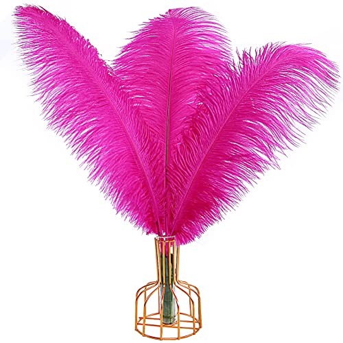 Straußenfedern, natürlich, 40 cm - 45 cm, für Hochzeit, Party, Tafelaufsatz, Ostern, Gatsby und Heimdekoration, Straußenfedern, 12 Stück Straußenfedern, natürlich, 40 cm - 45 cm, für Hochzeit, Party, Tafelaufsatz, Ostern, Gatsby und Heimdekoration, Straußenfedern, 12 Stück von ADSUBHSJFAKK