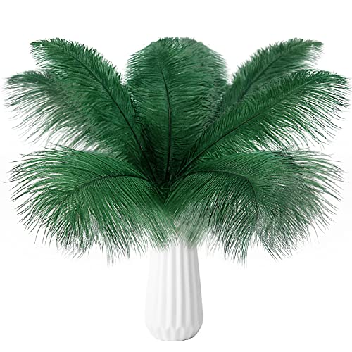 Straußenfedern, natürlich, 40 cm - 45 cm, für Hochzeit, Party, Tafelaufsatz, Ostern, Gatsby und Heimdekoration, Straußenfedern, 12 Stück Straußenfedern, natürlich, 40 cm - 45 cm, für Hochzeit, Party, Tafelaufsatz, Ostern, Gatsby und Heimdekoration, Straußenfedern, 12 Stück von ADSUBHSJFAKK