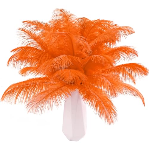 Straußenfedern, natürlich, 40 cm - 45 cm, für Hochzeit, Party, Tafelaufsatz, Ostern, Gatsby und Heimdekoration, Straußenfedern, 12 Stück Straußenfedern, natürlich, 40 cm - 45 cm, für Hochzeit, Party, Tafelaufsatz, Ostern, Gatsby und Heimdekoration, Straußenfedern, 12 Stück von ADSUBHSJFAKK