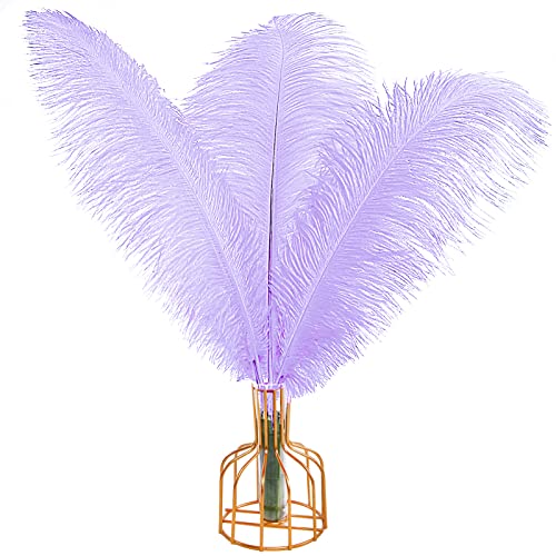 Straußenfedern, natürlich, 40 cm - 45 cm, für Hochzeit, Party, Tafelaufsatz, Ostern, Gatsby und Heimdekoration, Straußenfedern, 12 Stück Straußenfedern, natürlich, 40 cm - 45 cm, für Hochzeit, Party, Tafelaufsatz, Ostern, Gatsby und Heimdekoration, Straußenfedern, 12 Stück von ADSUBHSJFAKK