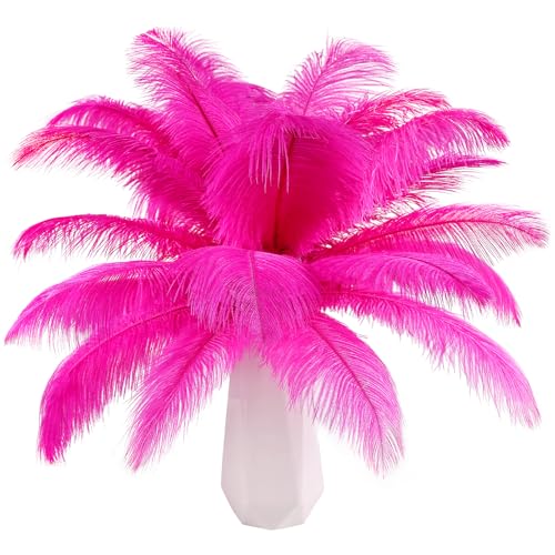 Straußenfedern, natürlich, 40 cm - 45 cm, für Hochzeit, Party, Tafelaufsatz, Ostern, Gatsby und Heimdekoration, Straußenfedern, 12 Stück Straußenfedern, natürlich, 40 cm - 45 cm, für Hochzeit, Party, Tafelaufsatz, Ostern, Gatsby und Heimdekoration, Straußenfedern, 12 Stück von ADSUBHSJFAKK
