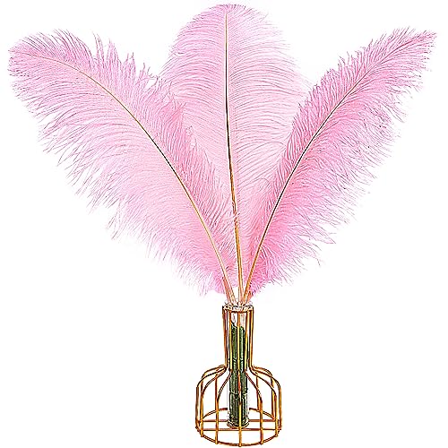 Straußenfedern, natürlich, 40 cm - 45 cm, für Hochzeit, Party, Tafelaufsatz, Ostern, Gatsby und Heimdekoration, Straußenfedern, 12 Stück Straußenfedern, natürlich, 40 cm - 45 cm, für Hochzeit, Party, Tafelaufsatz, Ostern, Gatsby und Heimdekoration, Straußenfedern, 12 Stück von ADSUBHSJFAKK