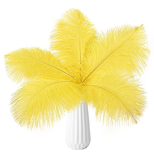 Straußenfedern, natürlich, 40 cm - 45 cm, für Hochzeit, Party, Tafelaufsatz, Ostern, Gatsby und Heimdekoration, Straußenfedern, 12 Stück Straußenfedern, natürlich, 40 cm - 45 cm, für Hochzeit, Party, Tafelaufsatz, Ostern, Gatsby und Heimdekoration, Straußenfedern, 12 Stück von ADSUBHSJFAKK