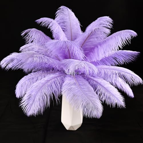 Straußenfedern, natürlich, 40 cm - 45 cm, für Hochzeit, Party, Tafelaufsatz, Ostern, Gatsby und Heimdekoration, Straußenfedern, 12 Stück Straußenfedern, natürlich, 40 cm - 45 cm, für Hochzeit, Party, Tafelaufsatz, Ostern, Gatsby und Heimdekoration, Straußenfedern, 12 Stück von ADSUBHSJFAKK