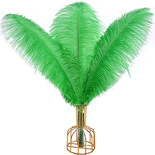 Straußenfedern, natürlich, 40 cm - 45 cm, für Hochzeit, Party, Tafelaufsatz, Ostern, Gatsby und Heimdekoration, Straußenfedern, 12 Stück Straußenfedern, natürlich, 40 cm - 45 cm, für Hochzeit, Party, Tafelaufsatz, Ostern, Gatsby und Heimdekoration, Straußenfedern, 12 Stück von ADSUBHSJFAKK