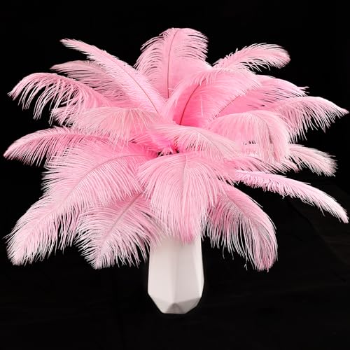 Straußenfedern, natürlich, 40 cm - 45 cm, für Hochzeit, Party, Tafelaufsatz, Ostern, Gatsby und Heimdekoration, Straußenfedern, 12 Stück Straußenfedern, natürlich, 40 cm - 45 cm, für Hochzeit, Party, Tafelaufsatz, Ostern, Gatsby und Heimdekoration, Straußenfedern, 12 Stück von ADSUBHSJFAKK